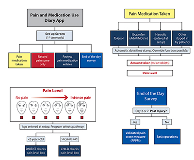 Pain Diary Figure 1